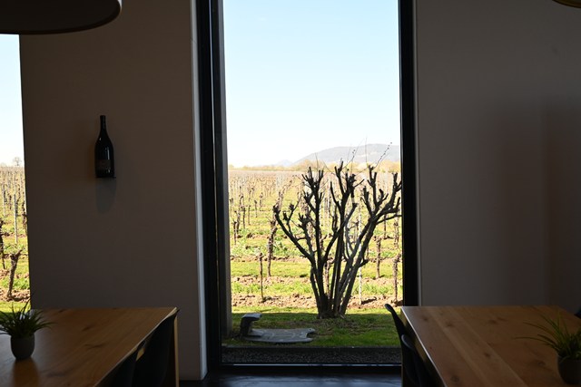 【現地視察レポート】手ごろな価格と侮るなかれ！　実はドイツNo.1＆特別栄誉賞獲得の生産者“カール　ファフマン”（経営企画室　藤野晃治）