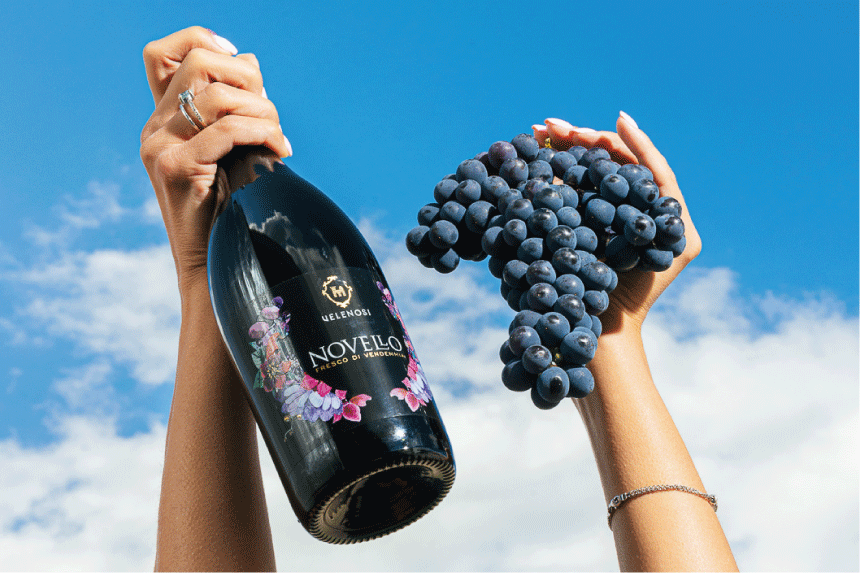 ヴェレノージとファンティーニよりノヴェッロの動画が届きました。