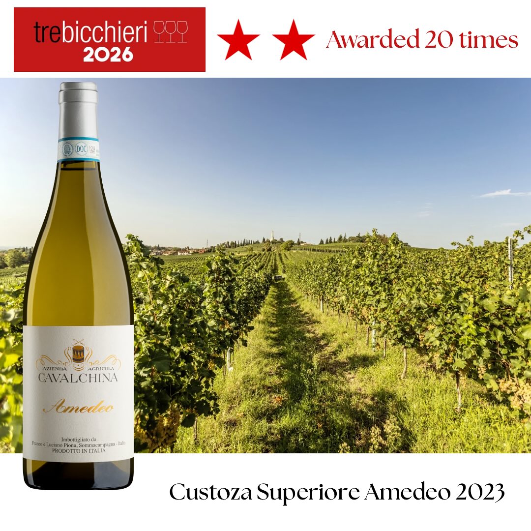 【現地視察レポート】INABAのイタリアワインといえば、外せないのがこの造り手! クストーツァの最高峰 “カヴァルキーナ(ピオーナ家)”(経営企画室 藤野晃治)