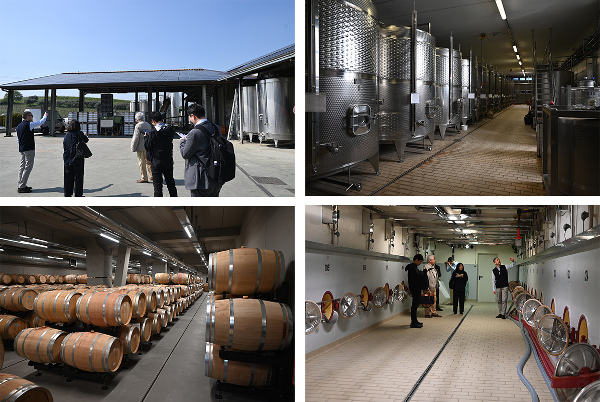 【現地視察レポート】INABAのイタリアワインといえば、外せないのがこの造り手! クストーツァの最高峰 “カヴァルキーナ(ピオーナ家)”(経営企画室 藤野晃治)