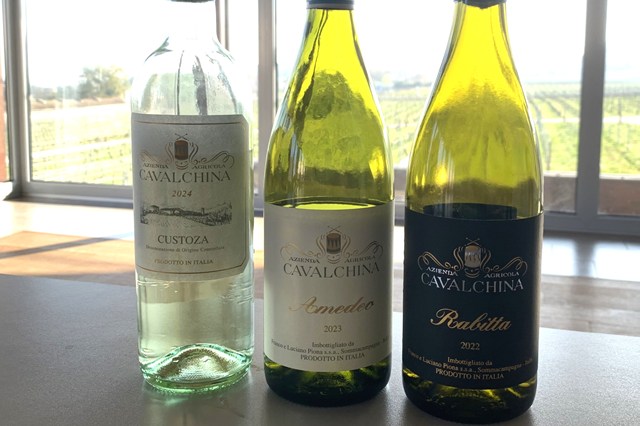 【現地視察レポート】INABAのイタリアワインといえば、外せないのがこの造り手！　クストーツァの最高峰 “カヴァルキーナ（ピオーナ家）”（経営企画室　藤野晃治）