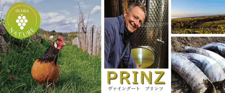 2026年5月おすすめワイン