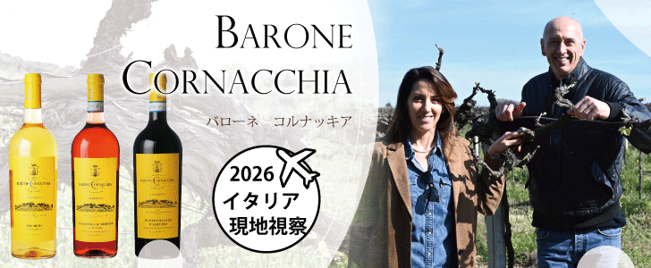 2026年7月おすすめワイン