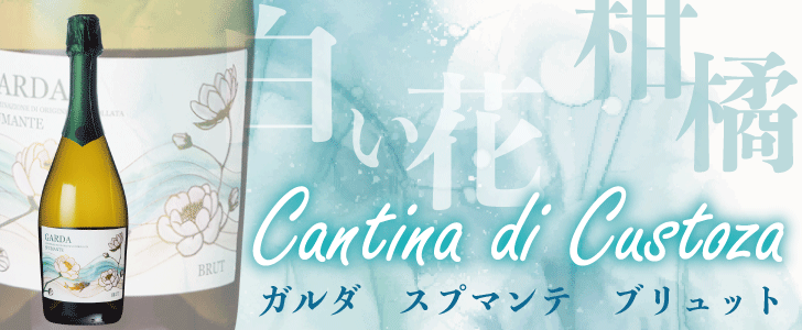2026年8月のおすすめワイン