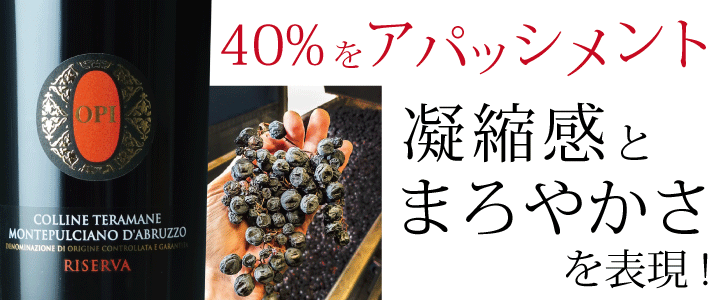 2026年11月おすすめワイン
