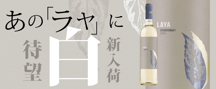 2026年11月おすすめワイン