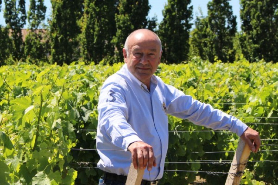 ドメーヌ ロラン ド ビ