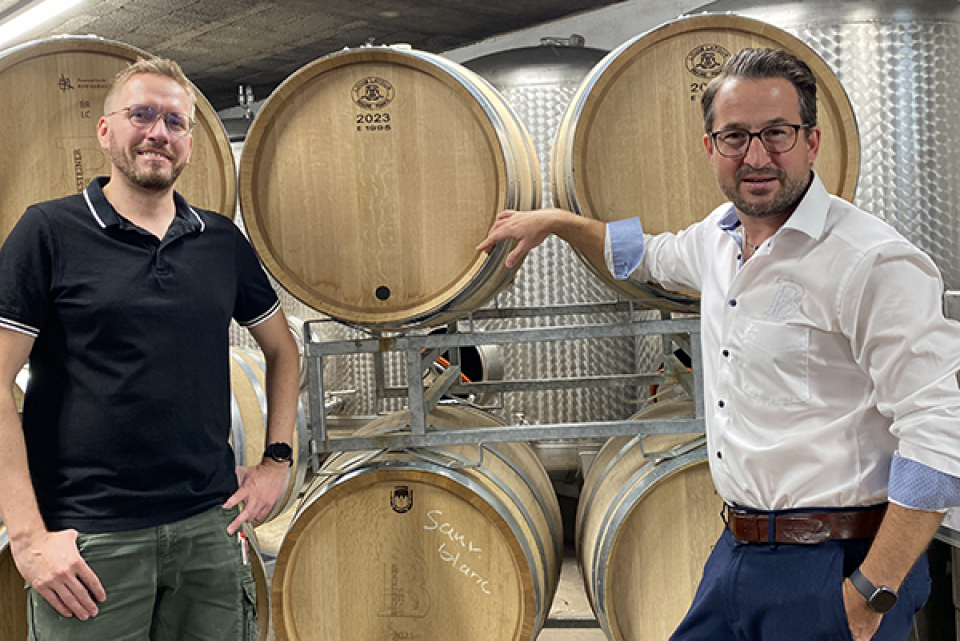 ベックシュタイナー ヴィンツァー