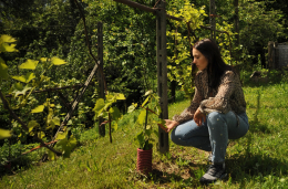 アジエンダ　アグリコーラ　レ　タデー