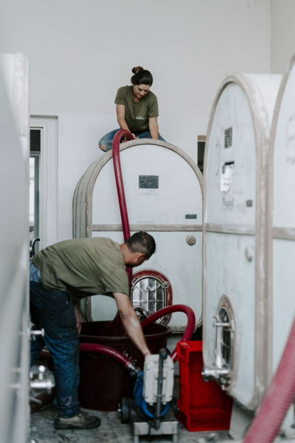 カンティーナ　ブリッコ　カルリーナ