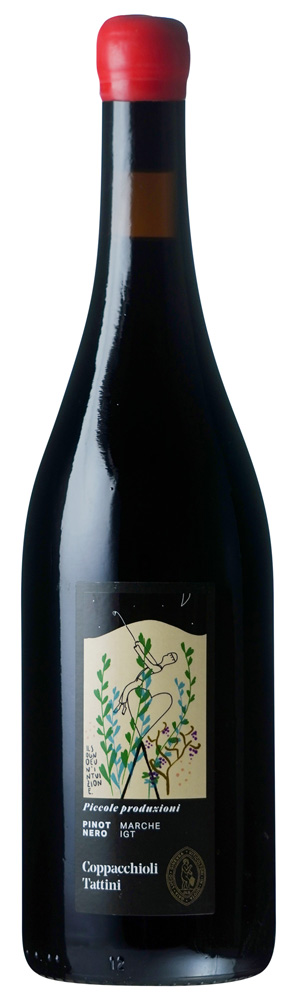 ピッコレ　プロドゥツィオーニ　ピノ　ネーロ