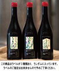 ピッコレ　プロドゥツィオーニ　ピノ　ネーロ